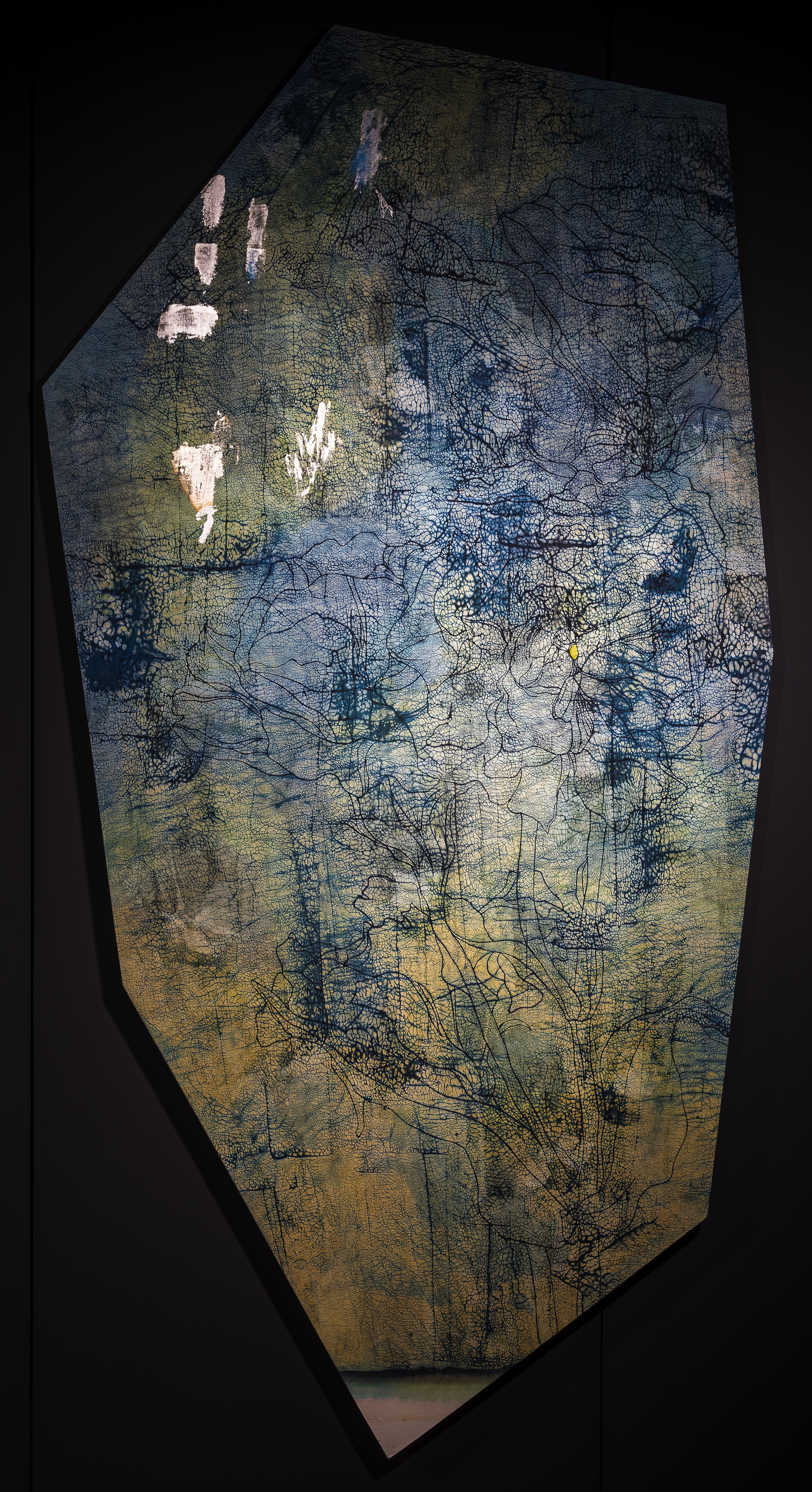 Membrane 20240810 - Resist Dyeing